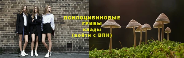 СК Новокубанск