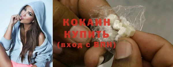 шишки Новозыбков