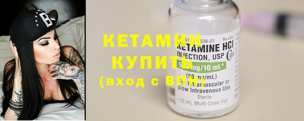 шишки Новозыбков
