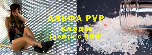 шишки Новозыбков