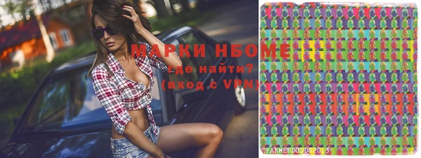 шишки Новозыбков