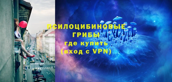 apvp Богородицк