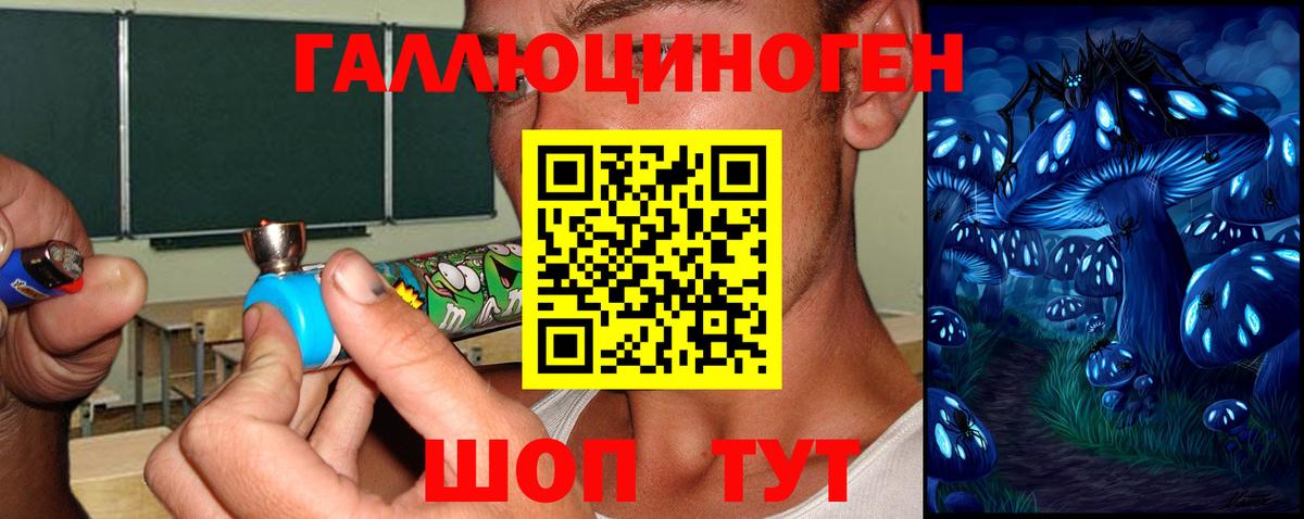 Псилоцибиновые грибы Psilocybine cubensis  продажа наркотиков  Каменка 