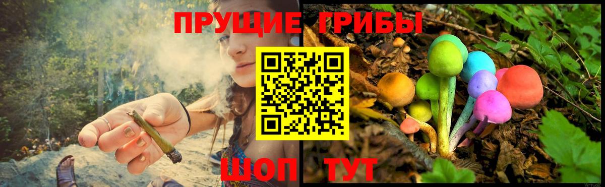 Галлюциногенные грибы Magic Shrooms Каменка
