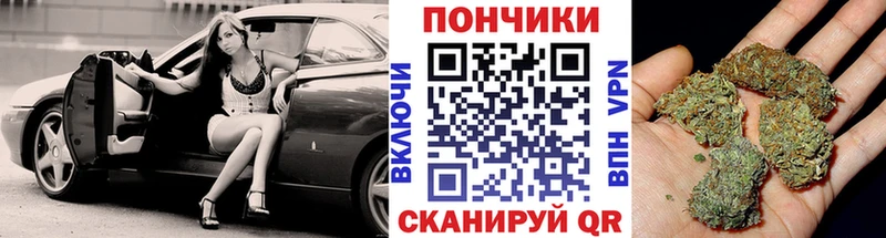 Марихуана OG Kush  как найти наркотики  Каменка 
